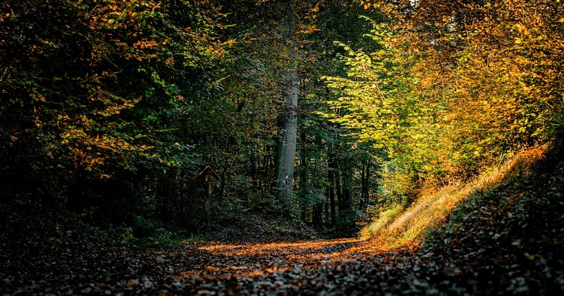 Week-end en amoureux en Europe en novembre ou en octobre : bonne ou mauvaise idée ?