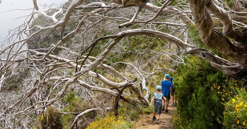 25 activités en plein air à faire en famille pendant les vacances