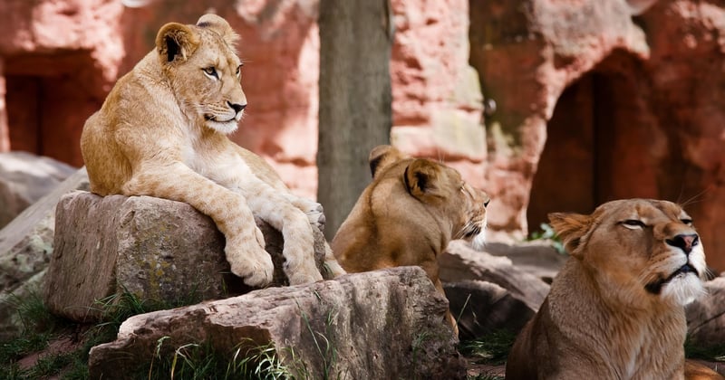 Voyager en famille avec de jeunes enfants : astuces et destinations